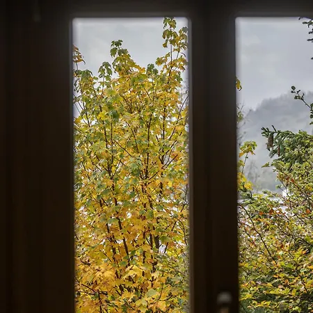 Half With Garden & Balcony - 2' To Bus