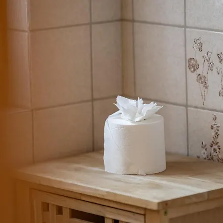 Half With Garden & Balcony - 2' To Bus Apartment Laax