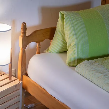 Appartement Half With Garden & Balcony - 2' To Bus Laax