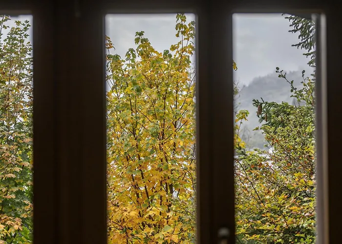 Half With Garden & Balcony - 2' To Bus